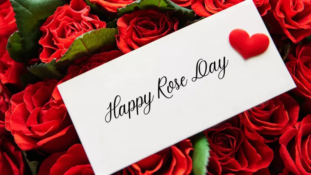 rose day