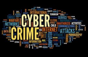 More than 4 thousand cases of cyber fraud will be registered in the year 2024