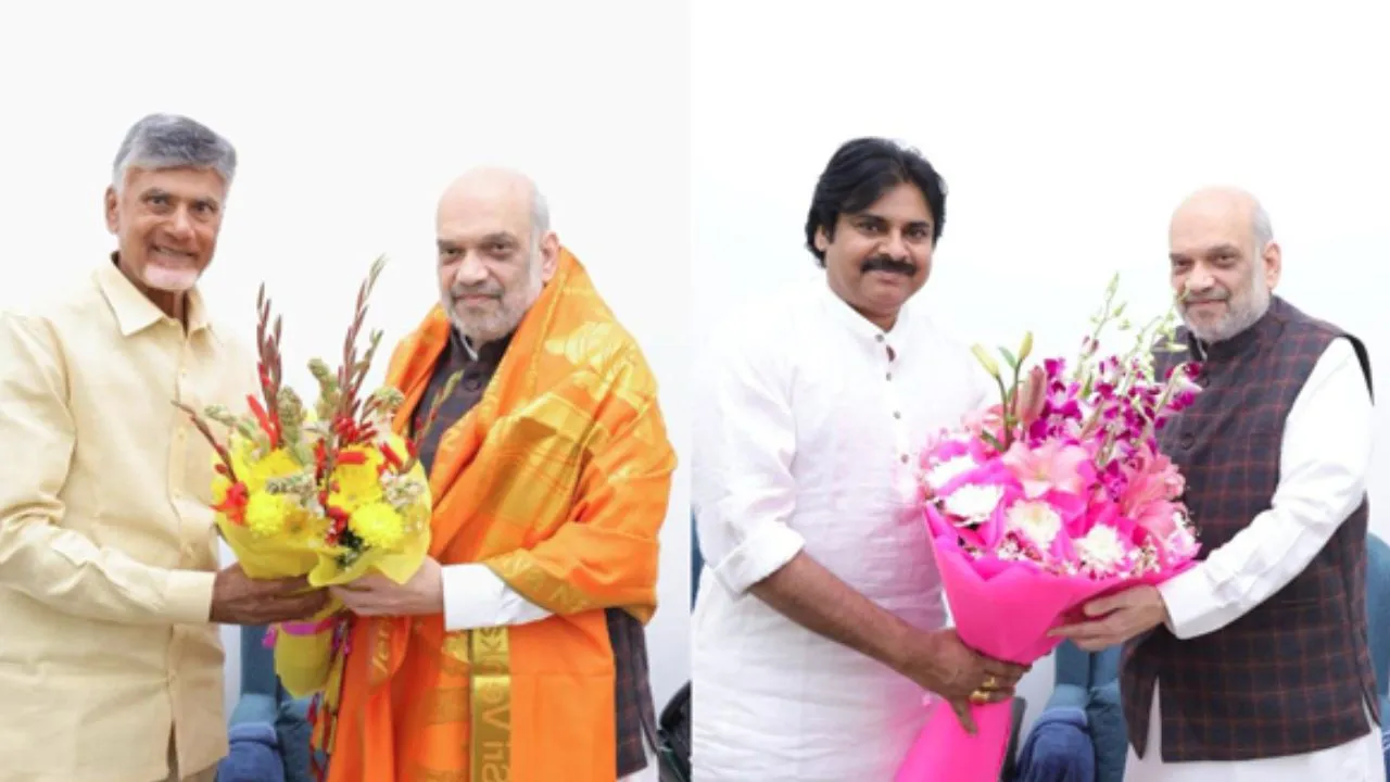 BJP-TDP-JSP Seat sharing, BJP-TDP Allaince For Lok Sabha Election 2024, Lok Sabha Election 2024