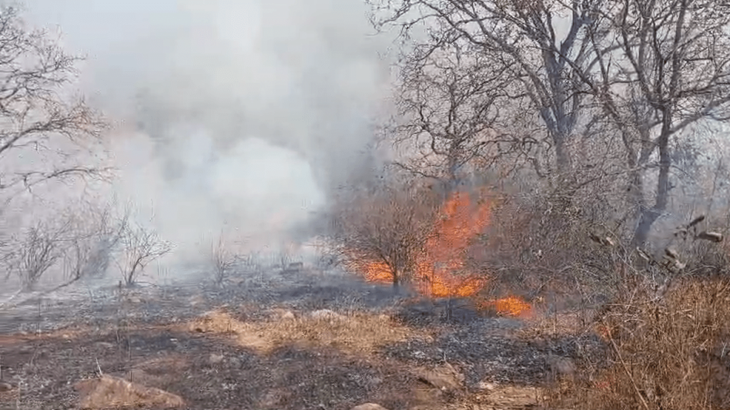 panna national park fire image