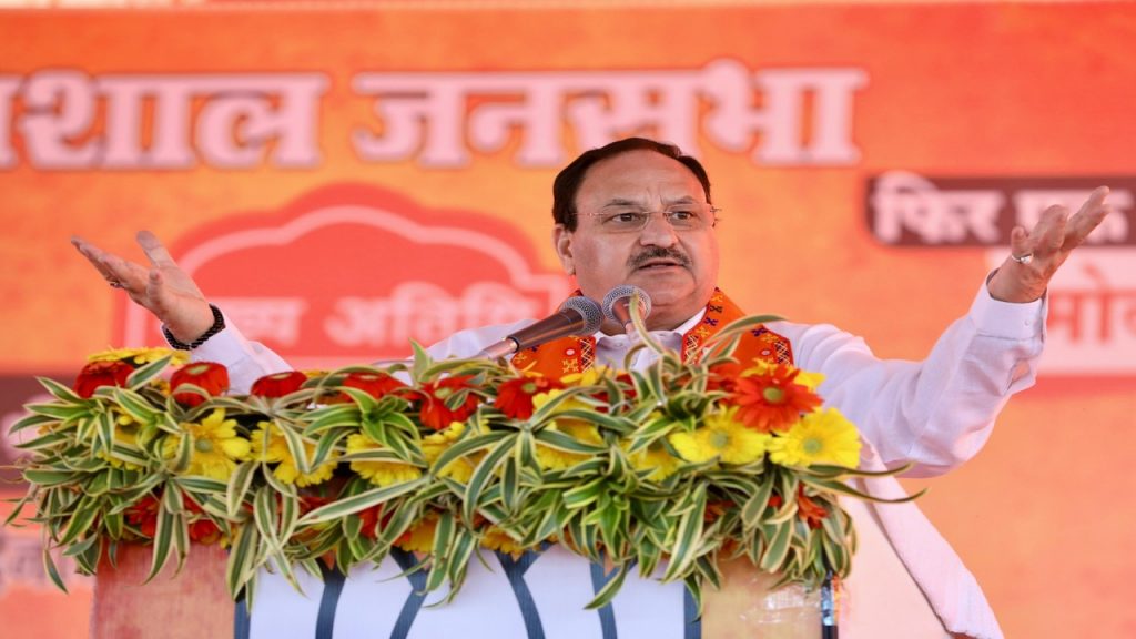 BJP National President JP Nadda addressing the meeting in Chhindwara.