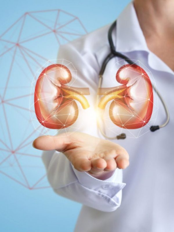 Kidney-Care-in-Jupiter-A-nephrologist-in-Jupiter-will-help-keep-your-kidneys-as-healthy-as-possible-732x488