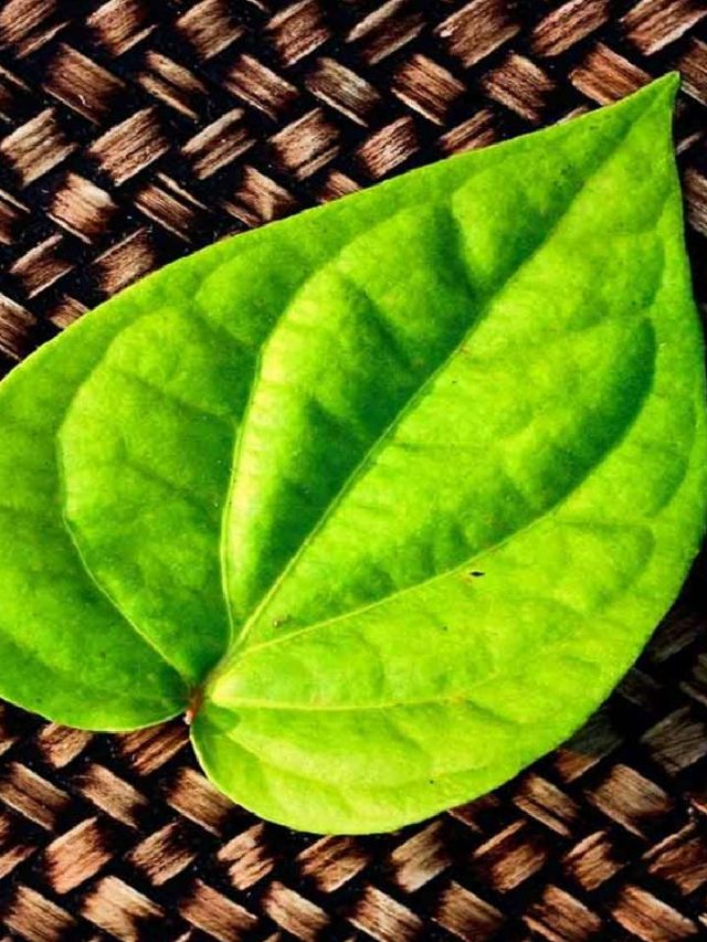 what-happen-when-keep-cloves-on-betel-leaves-1699426487