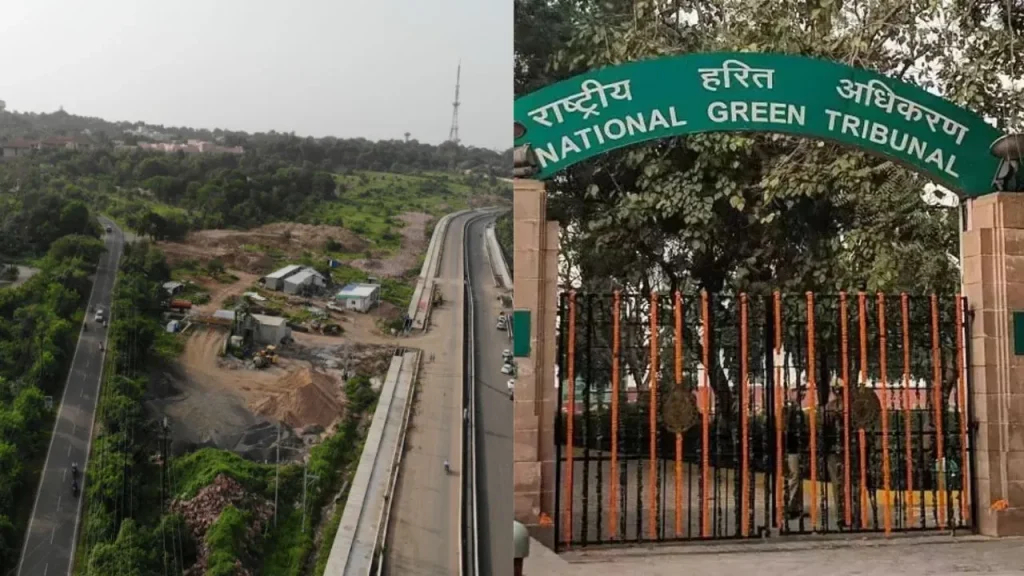 MP News, NGT, National Green Tribunal