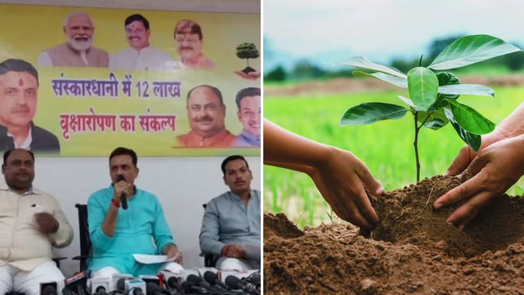 MP News, Madhya Pradesh, Jabalpur, Jabalpur Nagar Nigam, Tree Plantation, Global warning