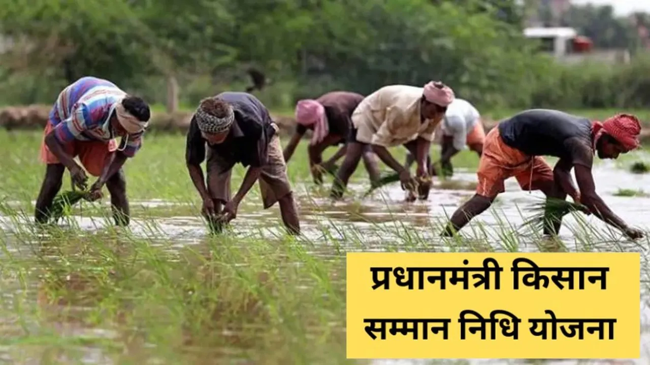 MP News, PM Kisan Samman Nidhi Yojana