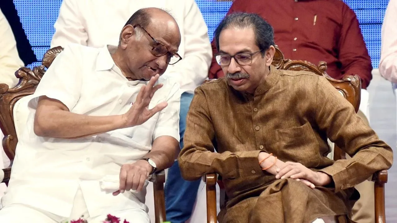 Maharashtra Election, Uddhav Thackeray, Sharad Pawar