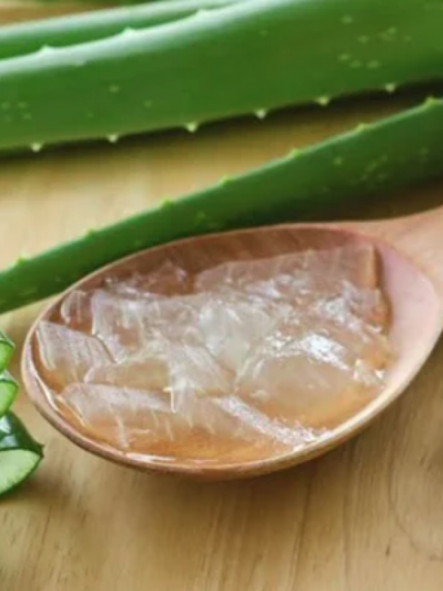 Aloe Vera