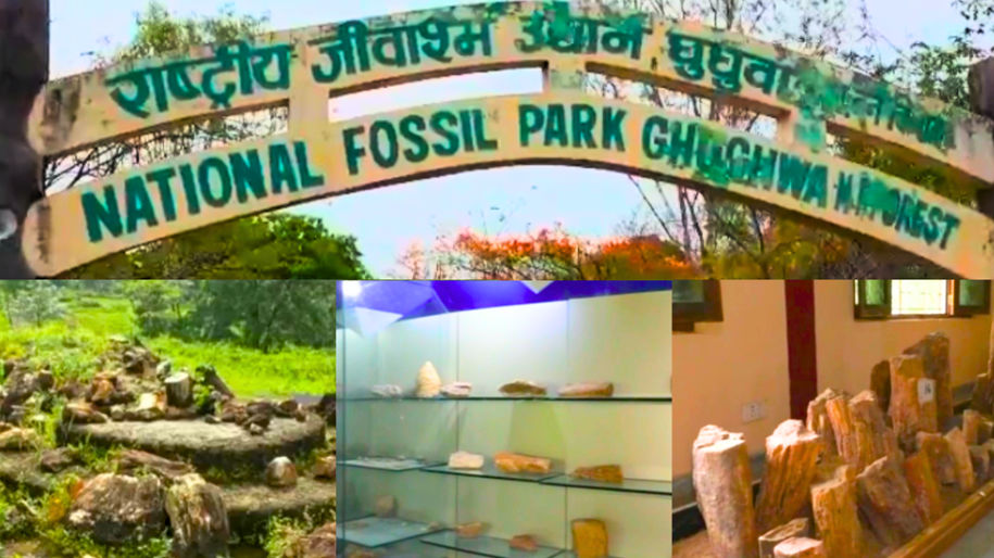 Ghughwa National Fossil Park