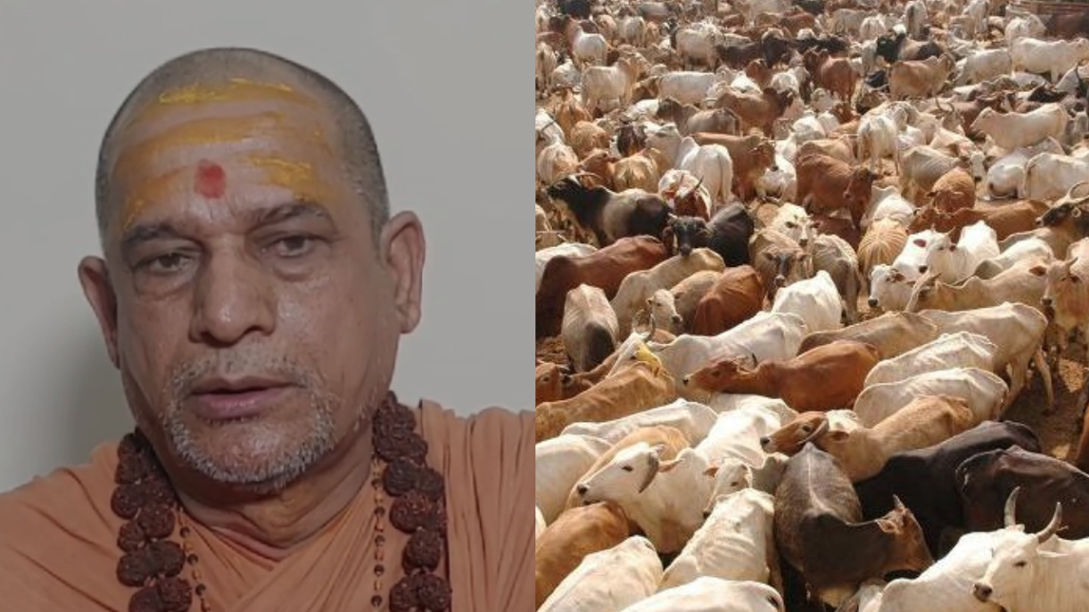 The statement of Shankaracharya Swami Sadanand Saraswati Maharaj of Dwarka Sharda Peeth regarding the killings and smuggling of cattle in the state has come to light.