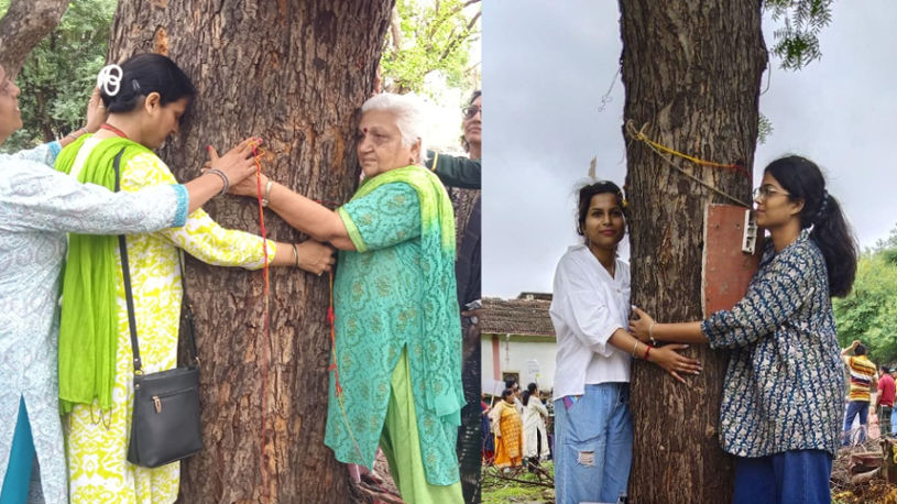 Indore: Old green trees are being cut to prepare a place for planting new trees.