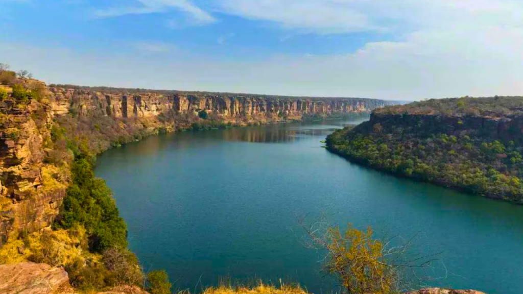 Narmada river is called the lifeline of MP.