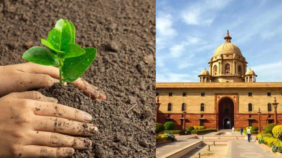 'One tree in the name of mother' campaign in MP, saplings worth Rs 5.50 crore are being monitored from Delhi