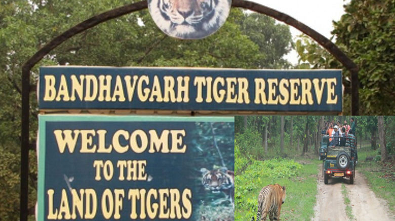 Bandhavgarh National Park