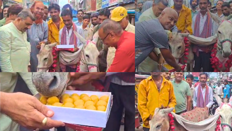 A wedding ceremony was organized in Chhatarpur's Chowk Bazaar