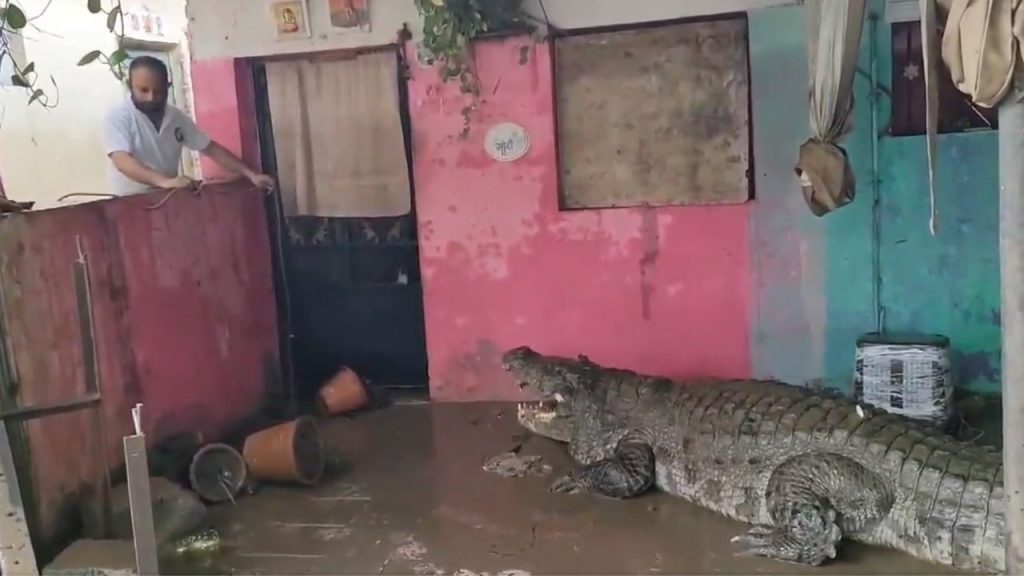 Gujarat Flood