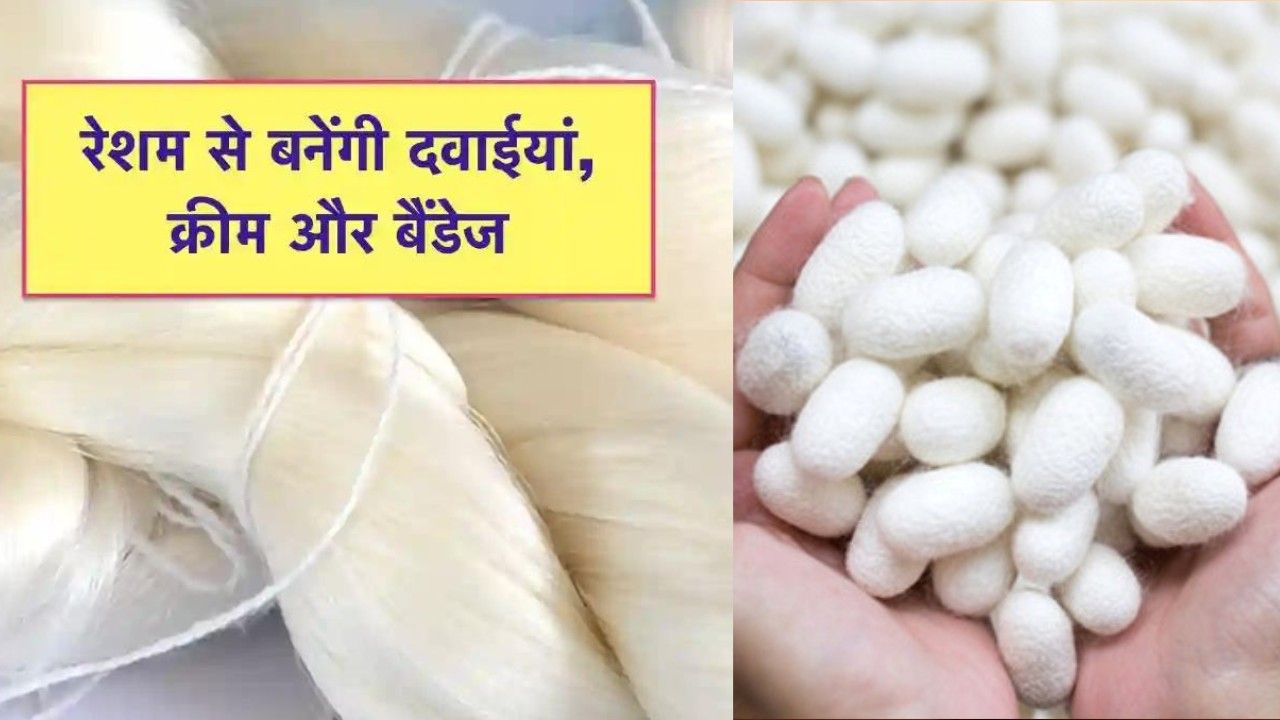 Work to make medicines from silk is going to start soon in MP.