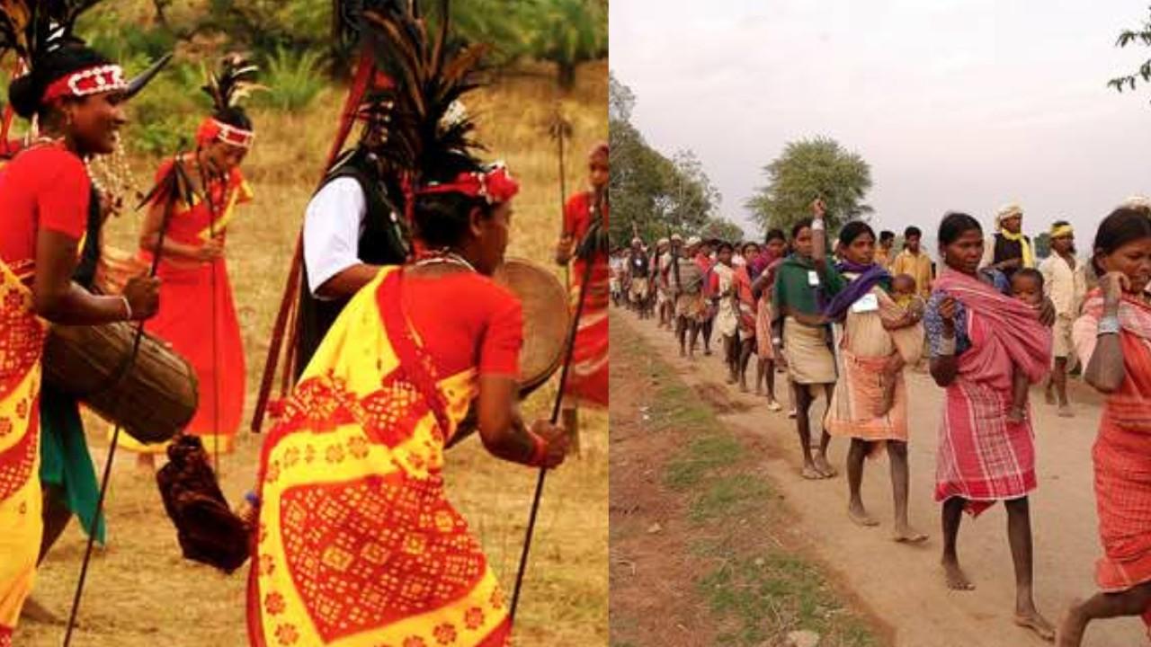 An awareness campaign will be run in special backward tribe dominated areas till September 10.