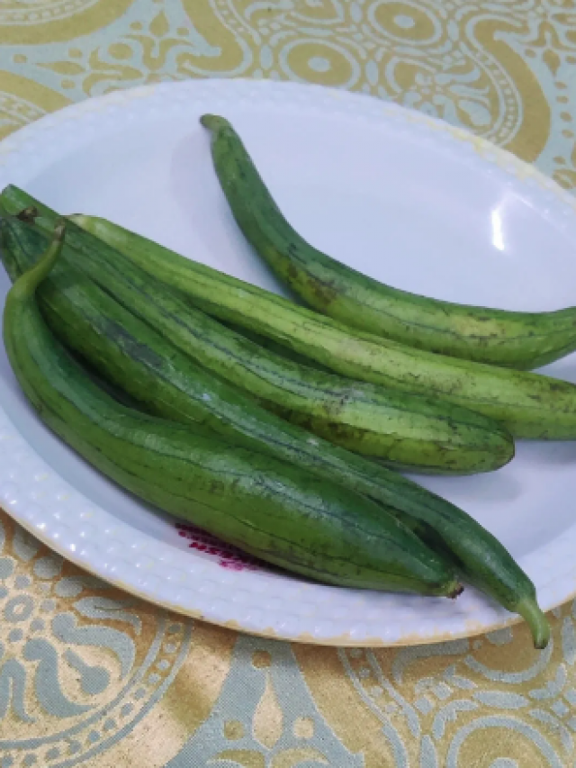 Ridge gourd