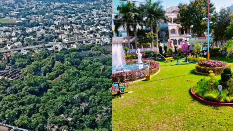 Preparations are underway to create a city forest in Indore and Jabalpur urban areas.