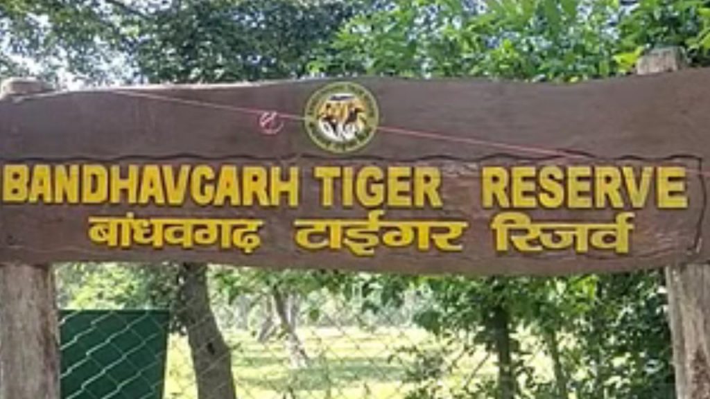 Bandhavgarh National Park