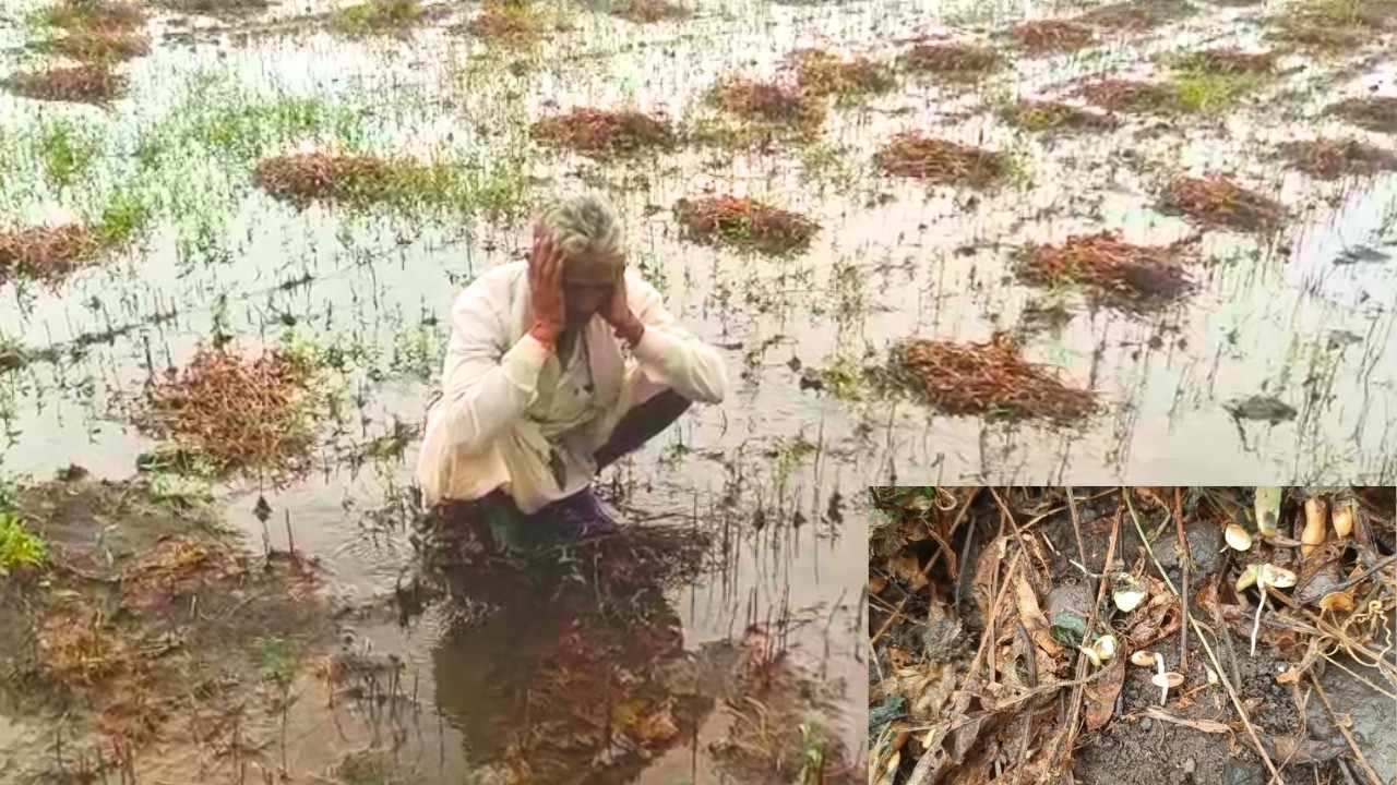 Govardhan Verma, a farmer sitting on the farm