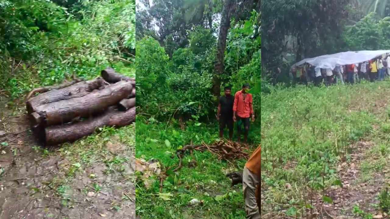 People are facing difficulties in the rain by collecting wood for burning dead bodies and preparing for the last rites.