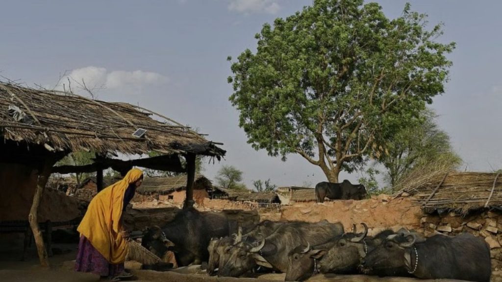 प्रतीकात्मक तस्वीर