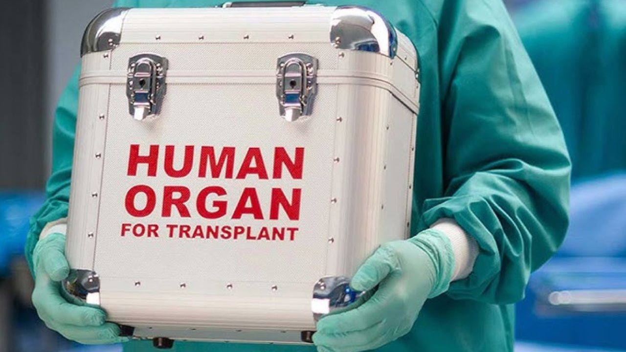 Kidney Transplant Syndicate