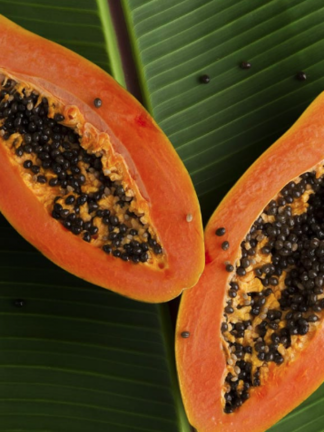 Papaya