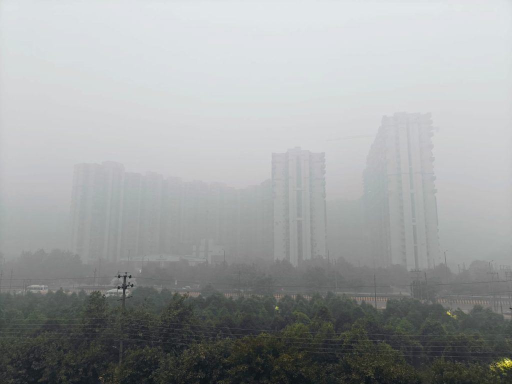 Fog In Delhi-NCR