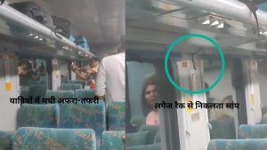 Snake appeared in Bhopal Jabalpur Jan Shatabdi train, panic spread among passengers