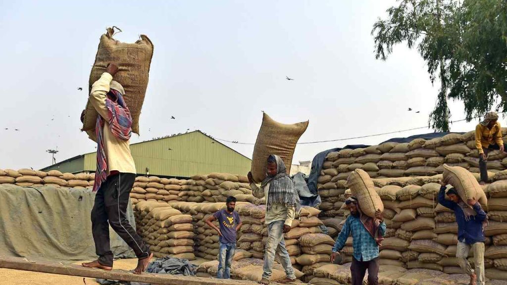 Procurement policy of three crops issued on MSP; Paddy will be purchased at Rs 2300, Jowar at Rs 3371 and Bajra at Rs 2625 per quintal