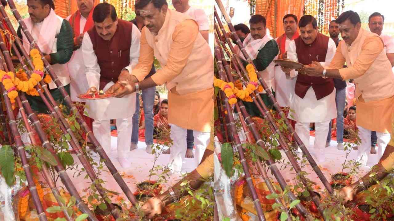 BJP MLA Rameshwar Sharma organized Tulsi marriage in Bhopal