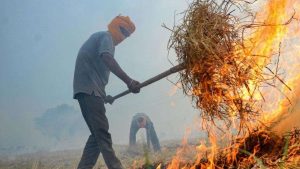 Stubble Burning