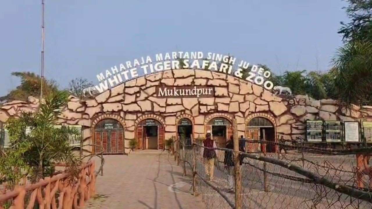 Crowds of tourists will flock to Mukundpur Zoo in Rewa on the new year