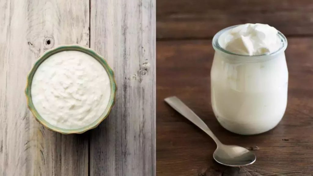 Curd vs Yogurt