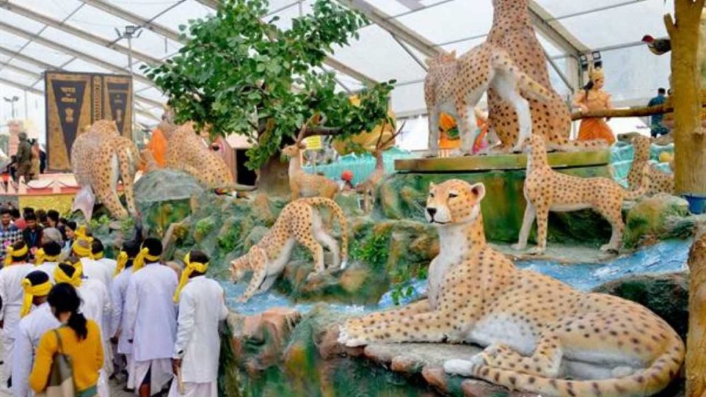 A glimpse of cheetah will be seen in MP's tableau in Republic Day parade