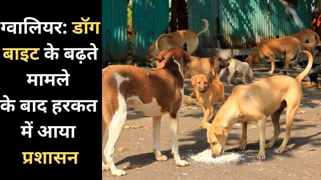 Administration came into action after increasing cases of dog bites in Gwalior