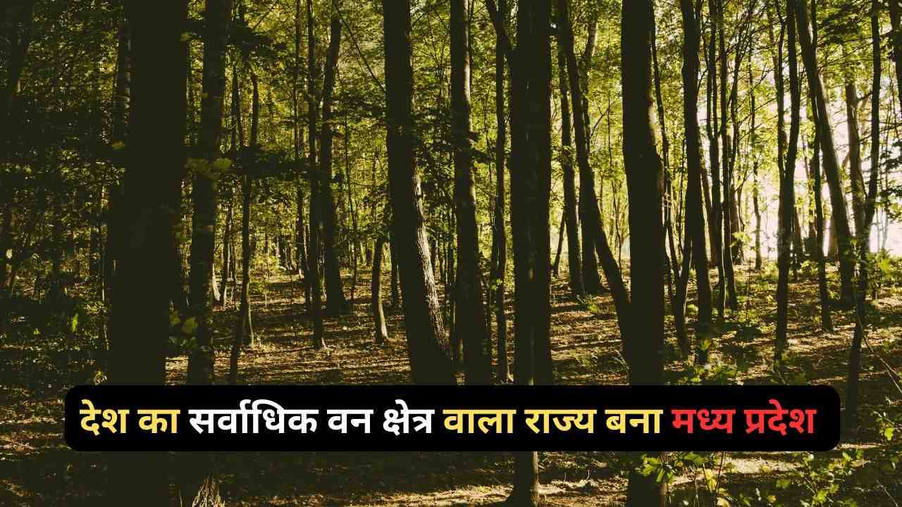 Madhya Pradesh became the state with the largest forest area in the country