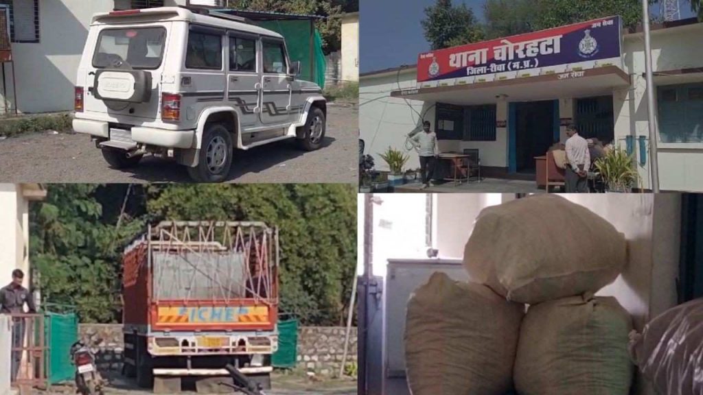 Rewa: Police arrested 6 accused with 50 kg marijuana