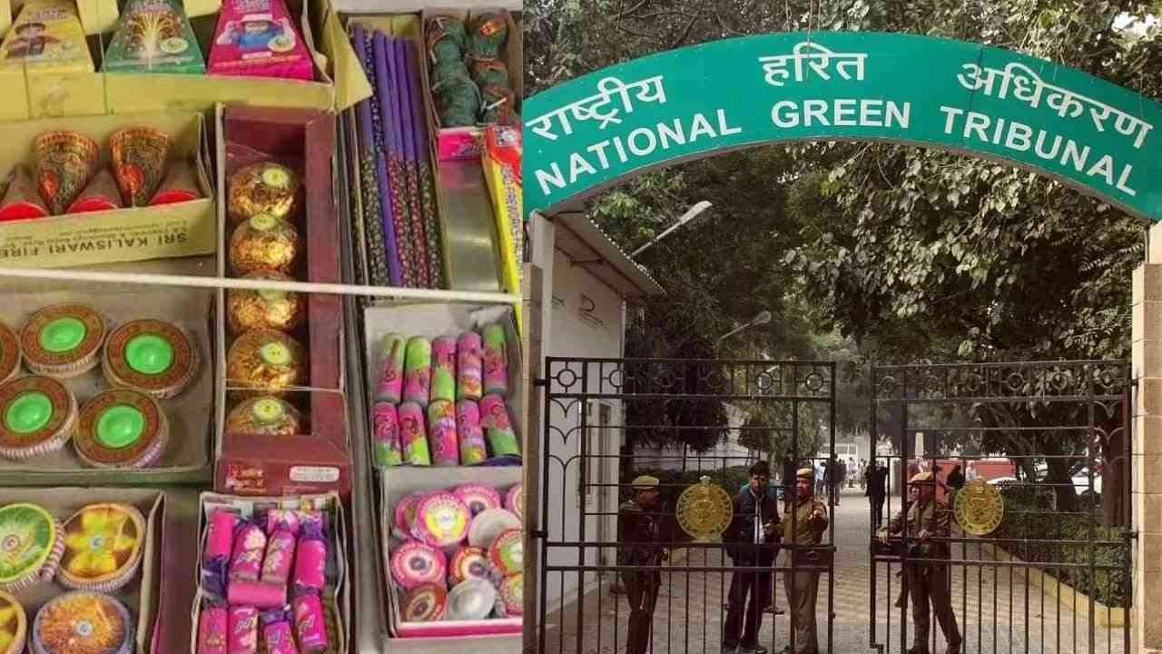 MP News: NGT seeks answers from collectors of 5 districts regarding fake green crackers