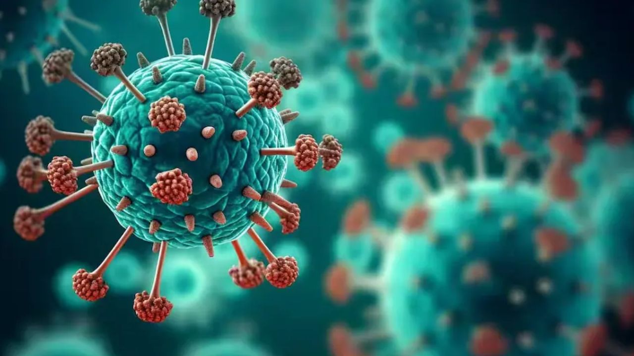 HMPV Virus