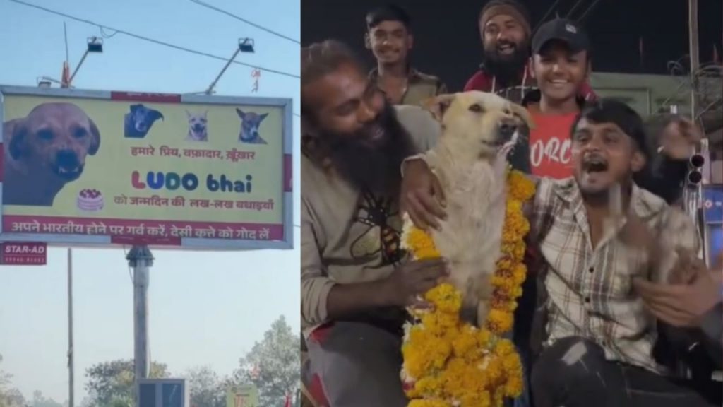 Dewas: Birthday of a dog named Ludo was celebrated