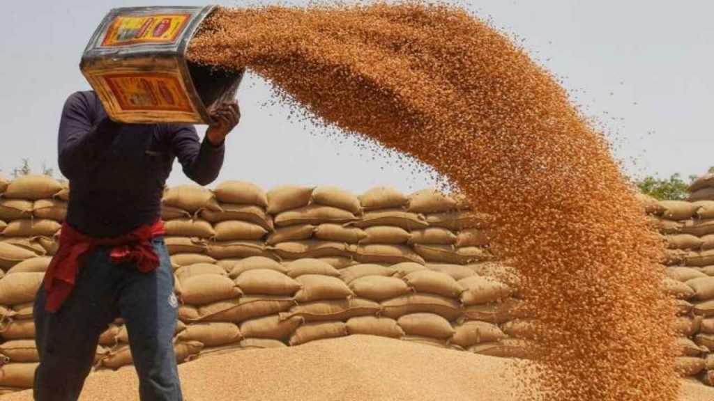 mp_news_wheat_procurement