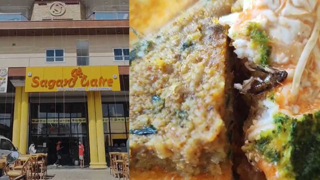 Cockroach found in sandwich of Sagar Gare restaurant in Ujjain