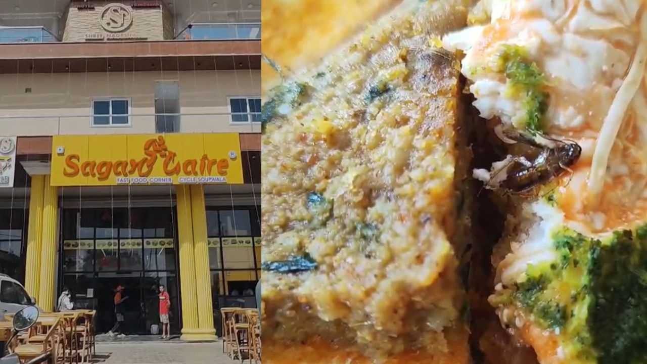 Cockroach found in sandwich of Sagar Gare restaurant in Ujjain