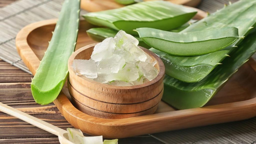 Aloevera