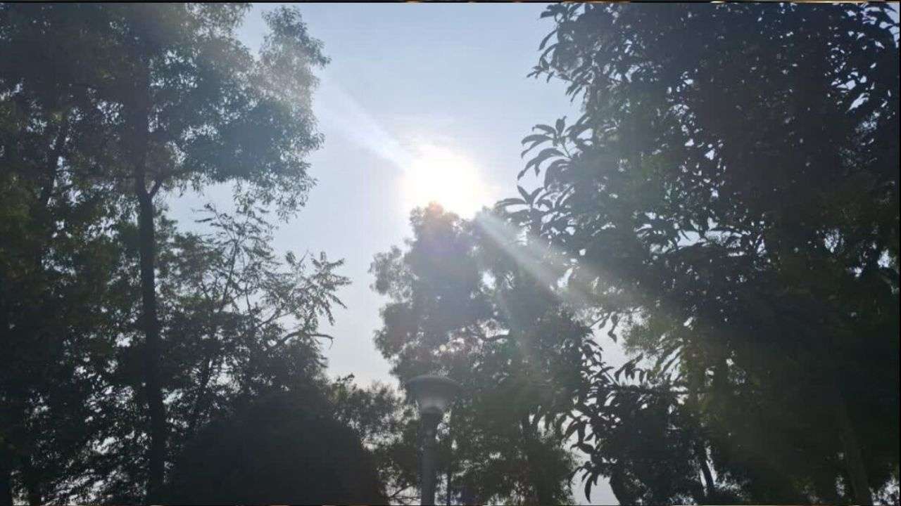 Temperatures rise in Madhya Pradesh after icy winds subsides