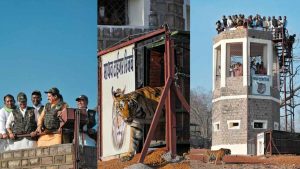 CM Mohan Yadav released tigress in Madhav National Park